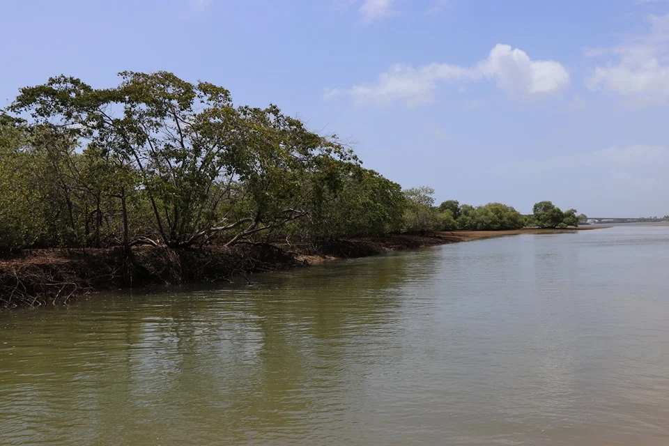 Crôa do Goré